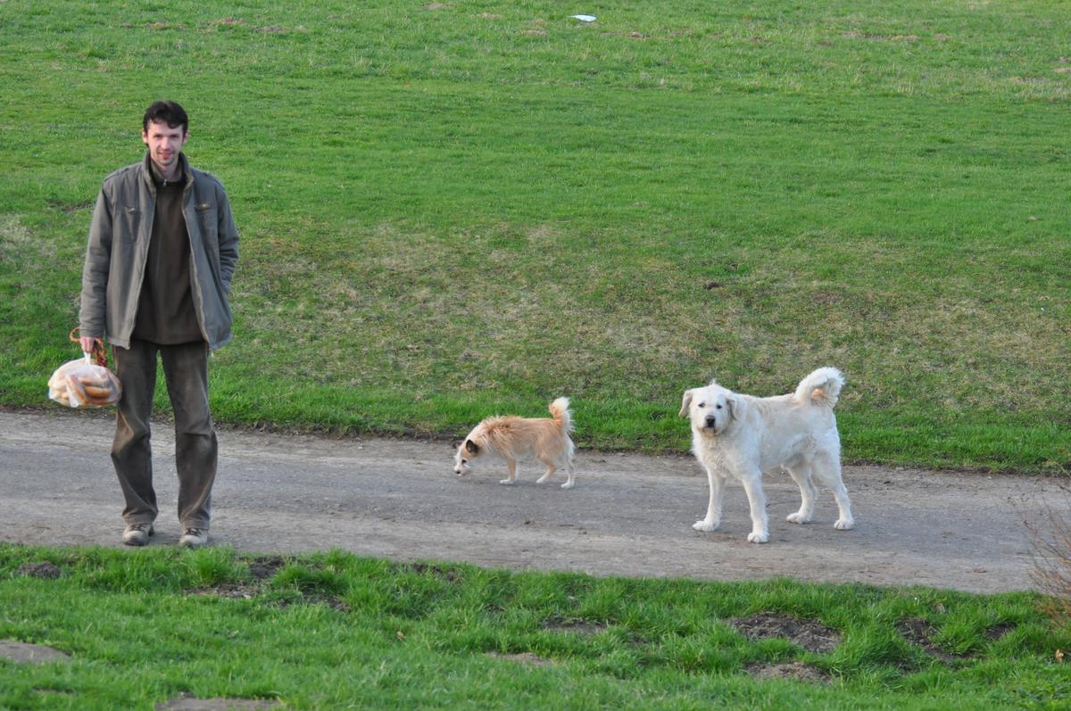 dsc_0306