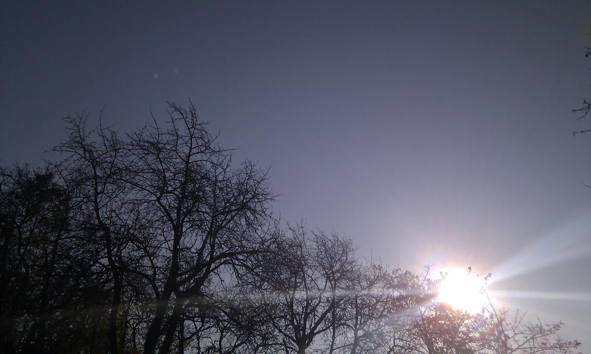 imag0187
